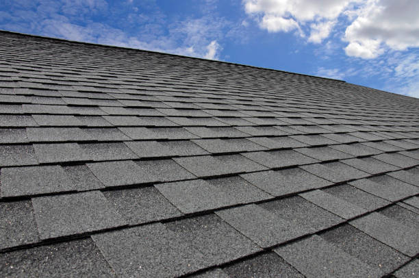 Best Roof Ventilation Installation  in Red Lake, AZ