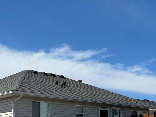 Best Roof Installation  in Red Lake, AZ